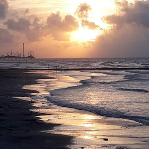 Meet your Posher, Leona